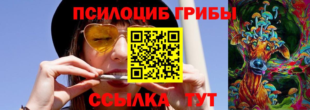 Кисловодск  наркотики  Вход с VPN  Галлюциногенные грибы Cubensis  Галлюциногенные грибы Cubensis 