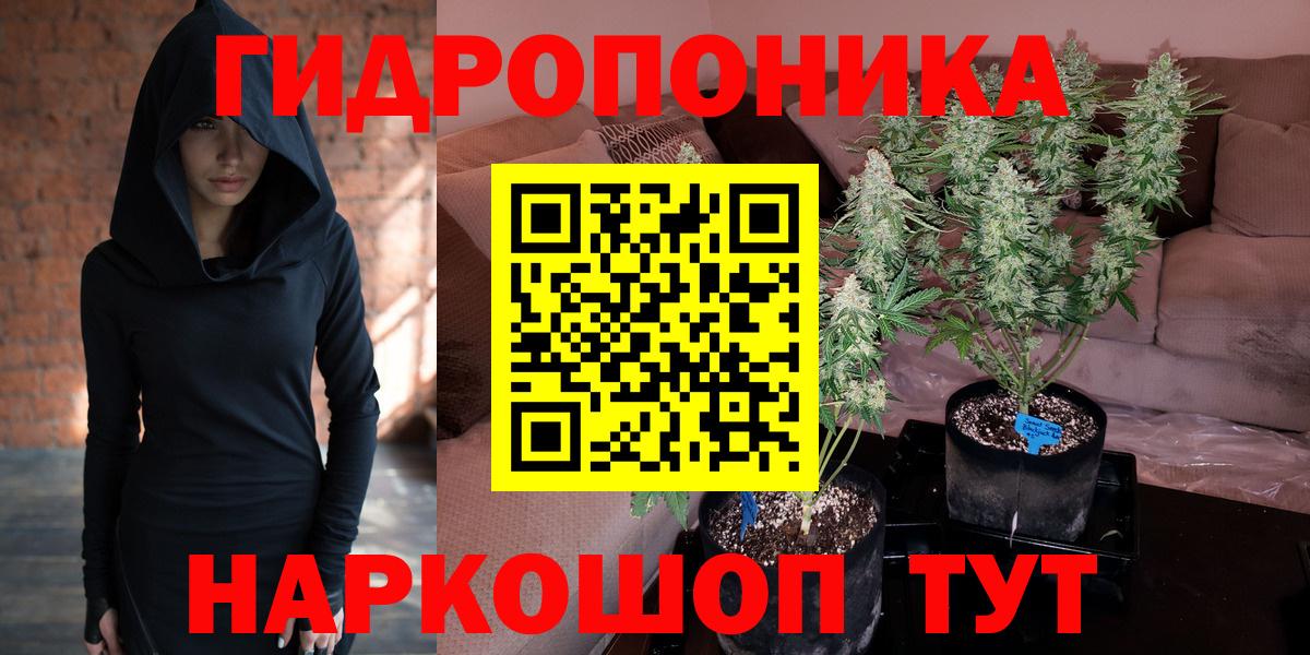 Кисловодск  Бошки марихуана марихуана  Шишки марихуана марихуана  Вход с VPN 